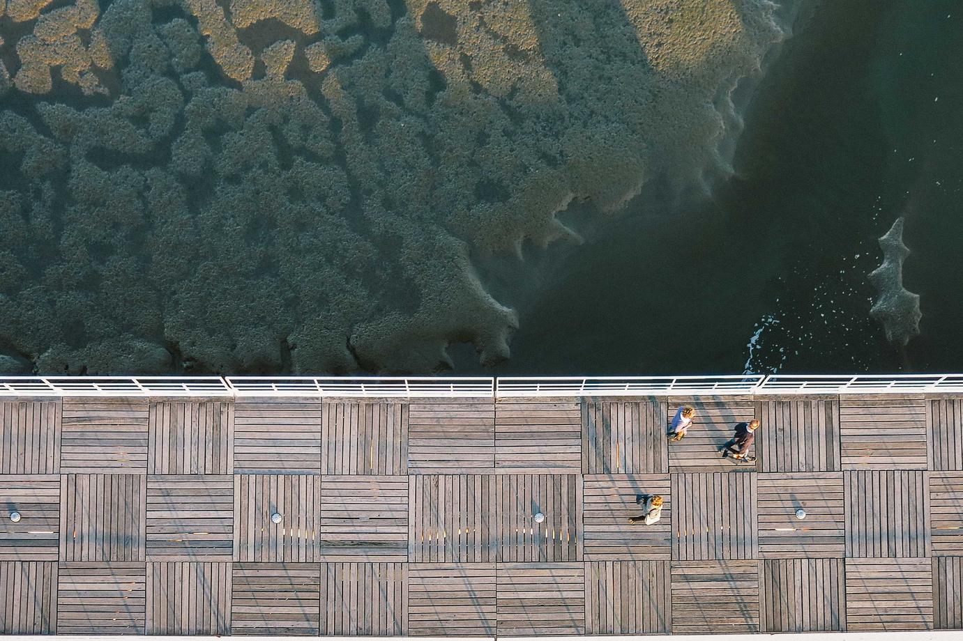 Deleniti reprehenderit animi qui officiis repellat quis